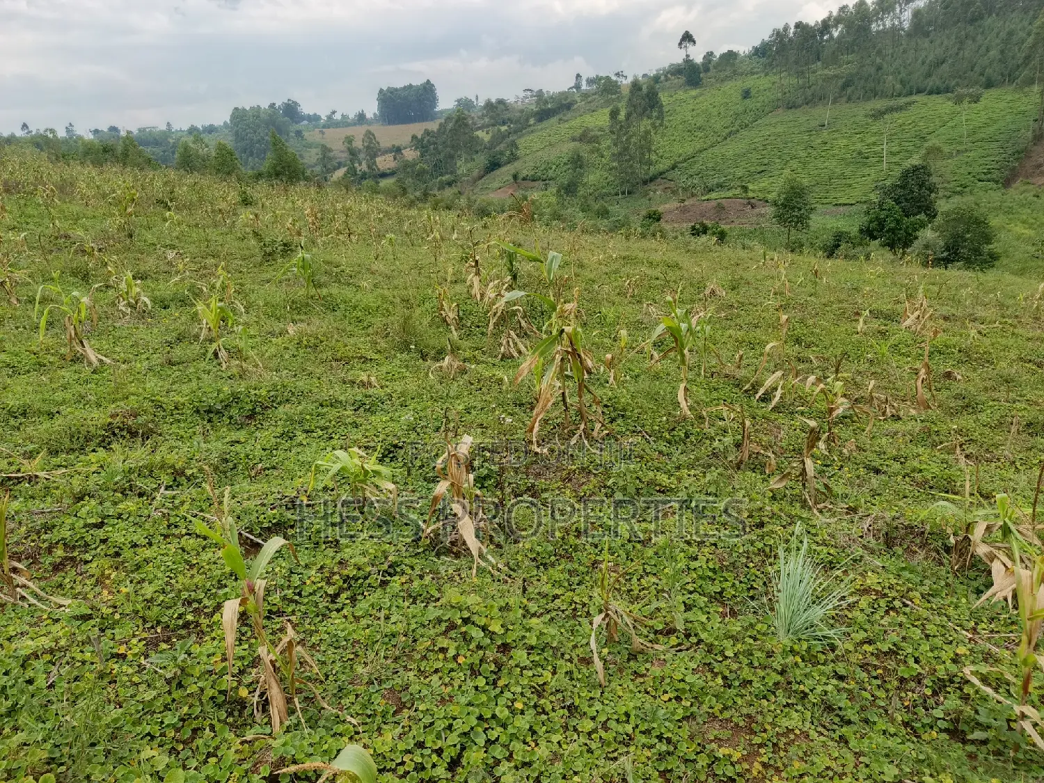 6acres of Land on Sale Located in Rugombe Town Council