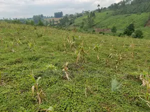 6acres of Land on Sale Located in Rugombe Town Council