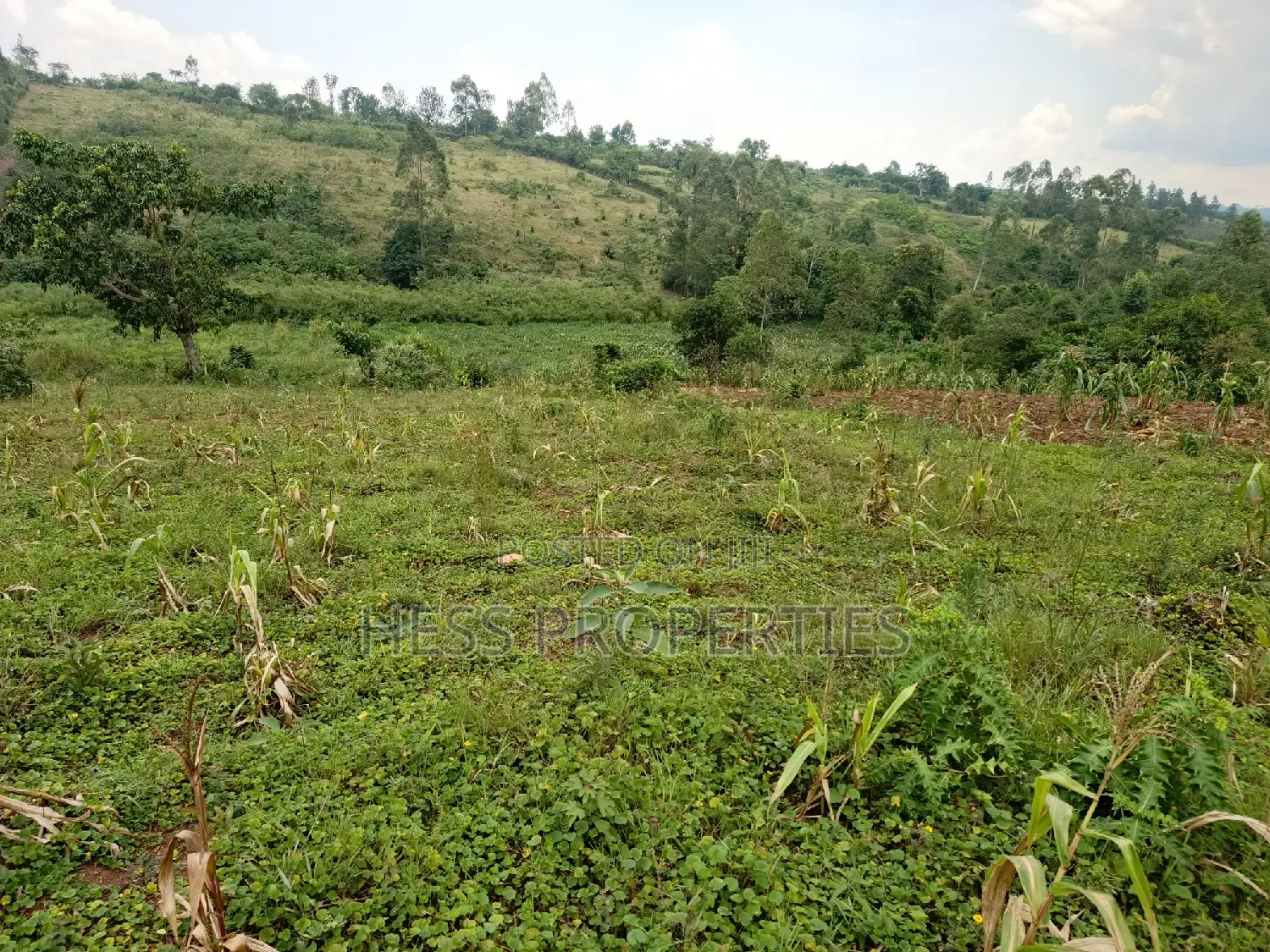 6acres of Land on Sale Located in Rugombe Town Council