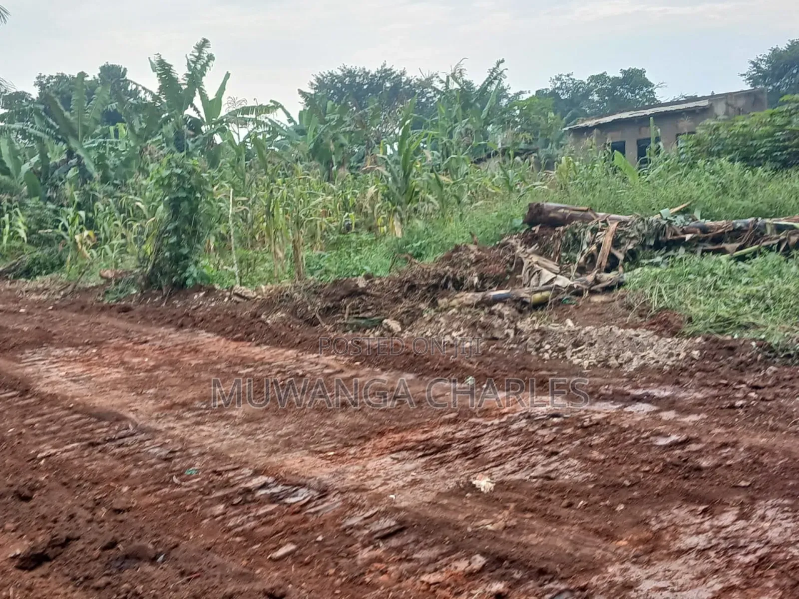 Plot for Sale in Nakwero