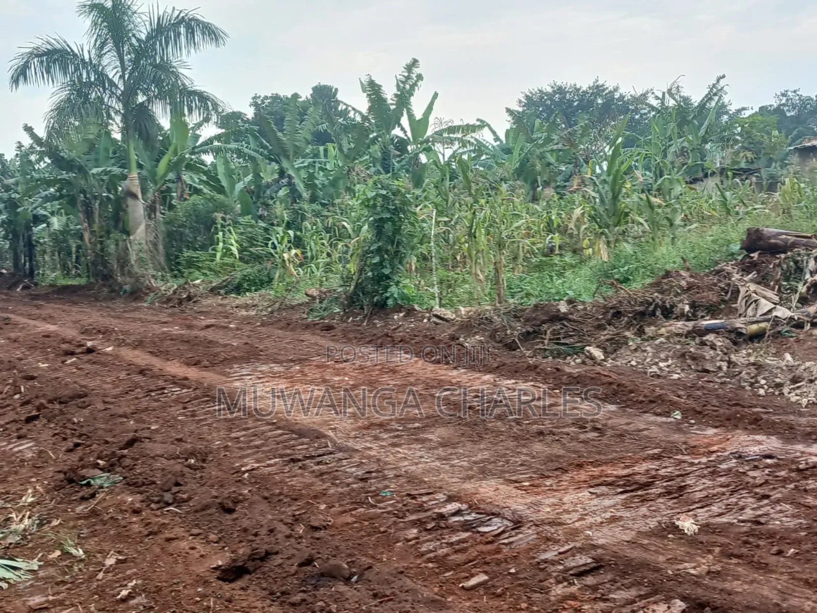 Plot for Sale in Nakwero