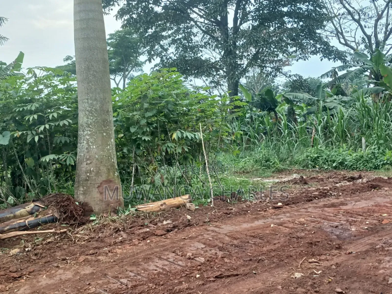 Plot for Sale in Nakwero