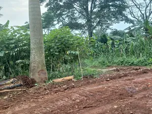 Plot for Sale in Nakwero