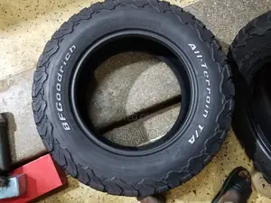 265/65r17 Bf Goodrich All Terrian.
