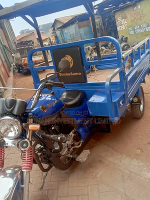 Tricycle 2023 Gold