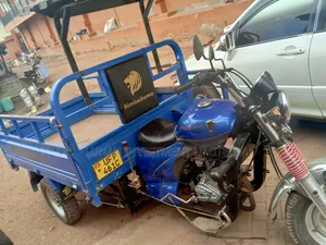 Tricycle 2023 Gold