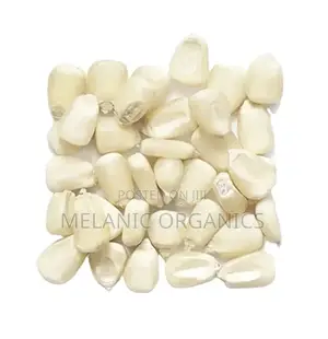 Maize Grain in Bulky