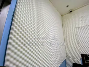 Acoustic Paired Soft Wall Soundproof Ceiling Studio Foam.