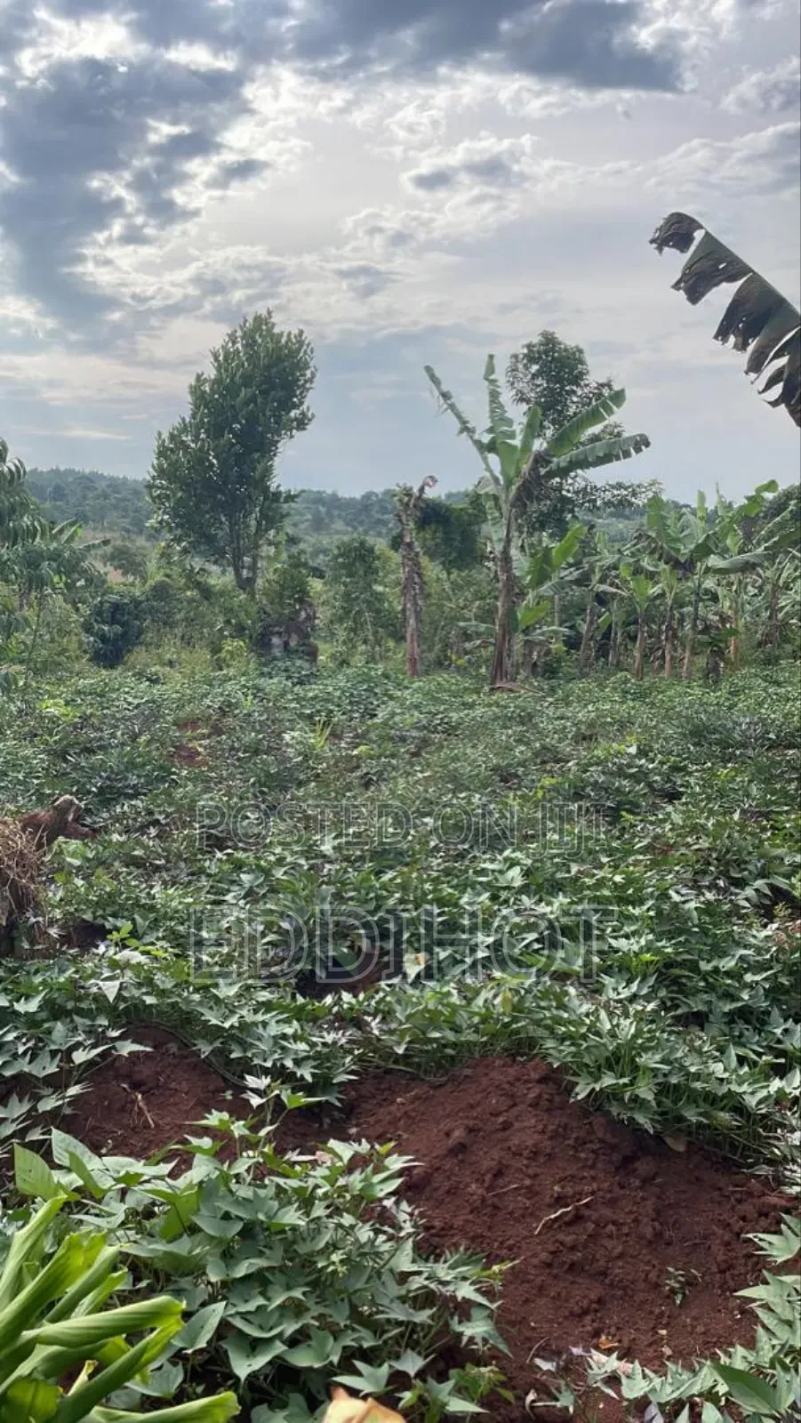 2 Acres for Sale Good for Farming and Fish Farming