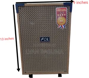 FNL Amplified Portable Speaker - Size 9 × 8 × 13 Inches