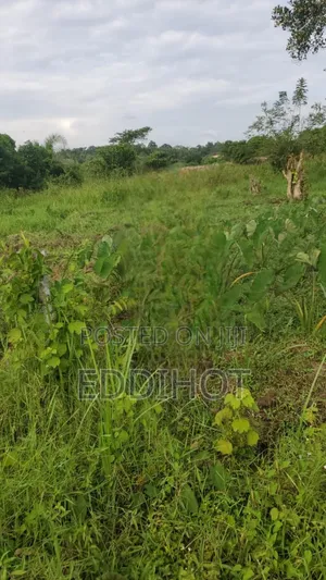 2 Acres for Sale Good for Farming and Fish Farming