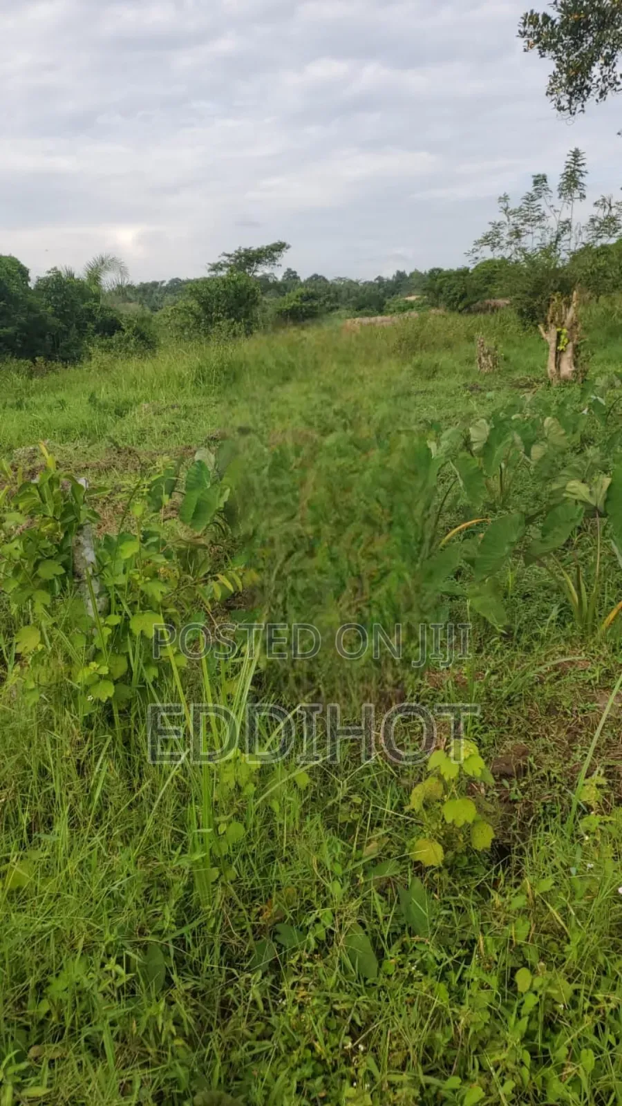 2 Acres for Sale Good for Farming and Fish Farming