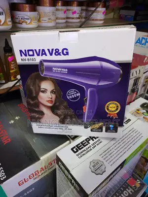 Nova V$G Hair Dryer