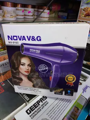 Hand Hair Dryer. V And G Hair Dryer