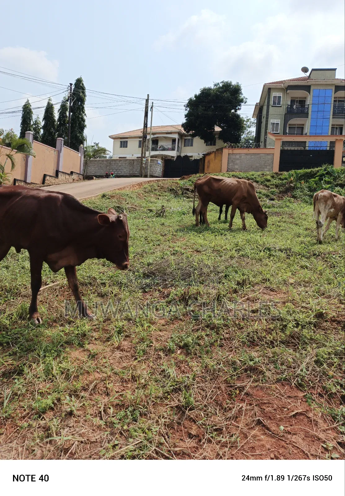 16decimals of Land for Sale in Kyanja