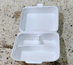 Folde Lunch Box (100pieces)
