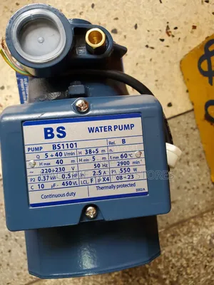 BS Water Pump
