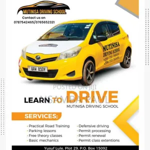 Learn to Drive