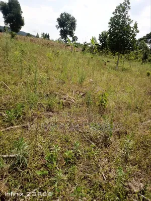 Land for Sale in Busiika