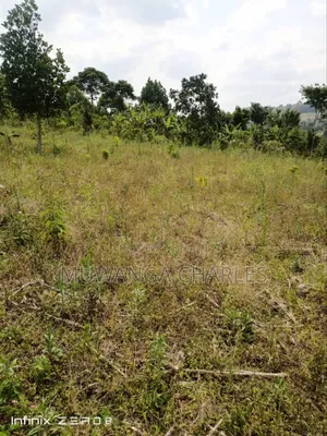 Land for Sale in Busiika