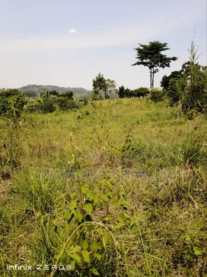 Land for Sale in Busiika