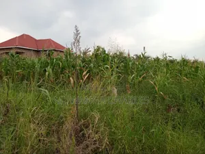 Plot's for Sale in Kitukutwe
