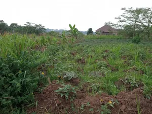 Plot's for Sale in Kitukutwe