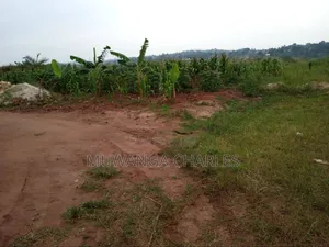 Plot's for Sale in Kitukutwe