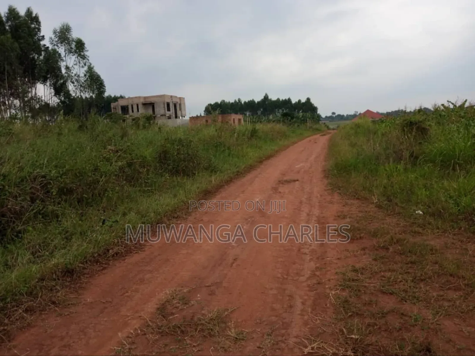 Plot for Sale in Nsasa
