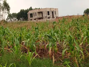 Plot for Sale in Nsasa