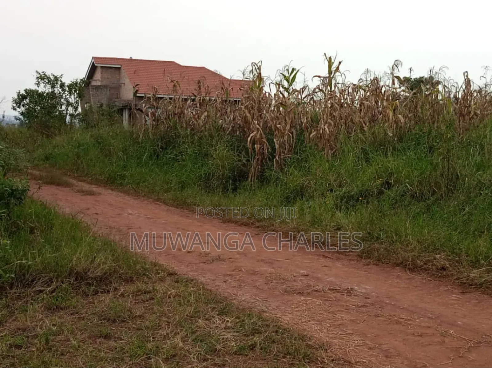 Plot for Sale in Nsasa