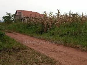 Plot for Sale in Nsasa