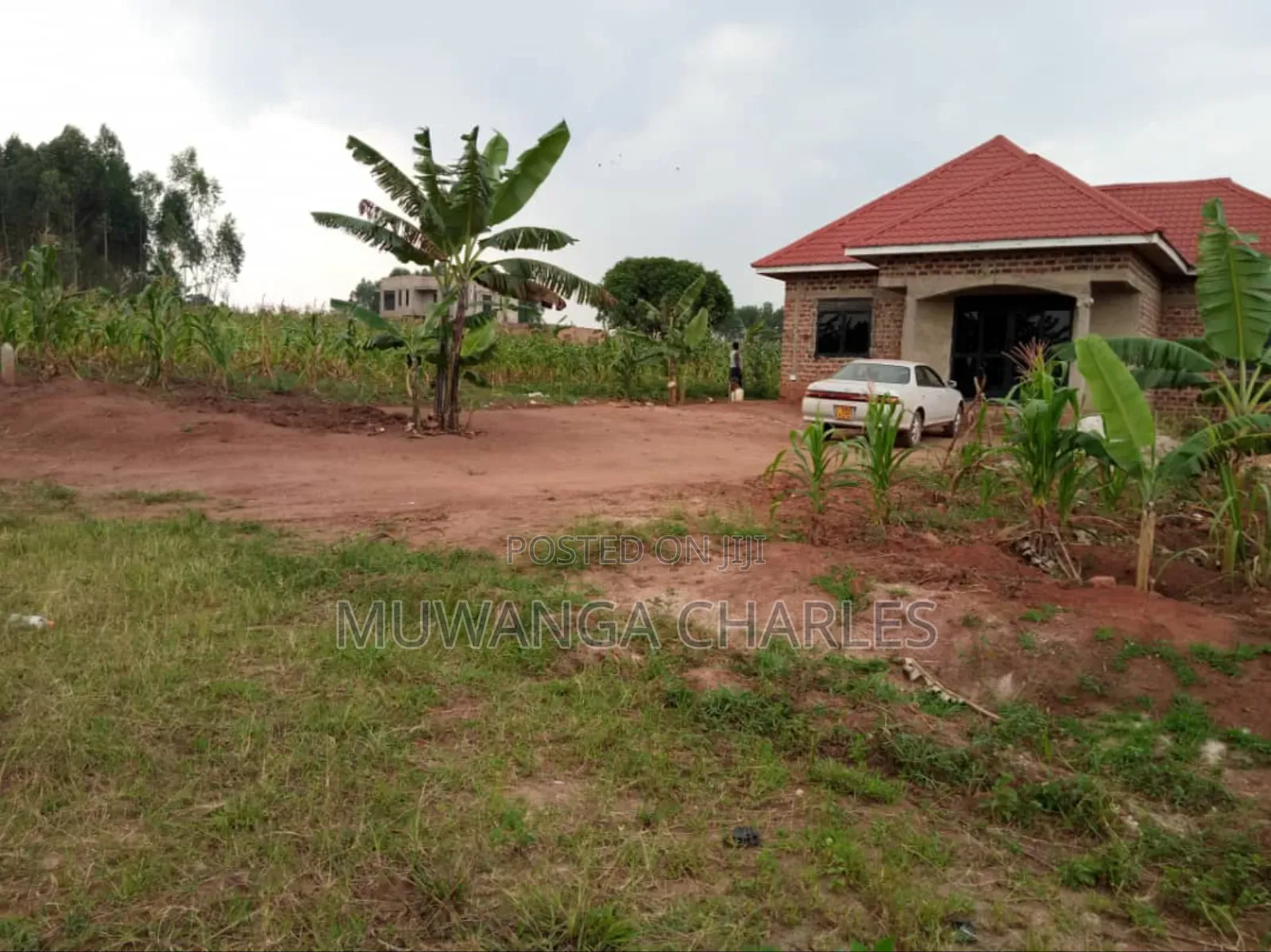 Plot for Sale in Nsasa