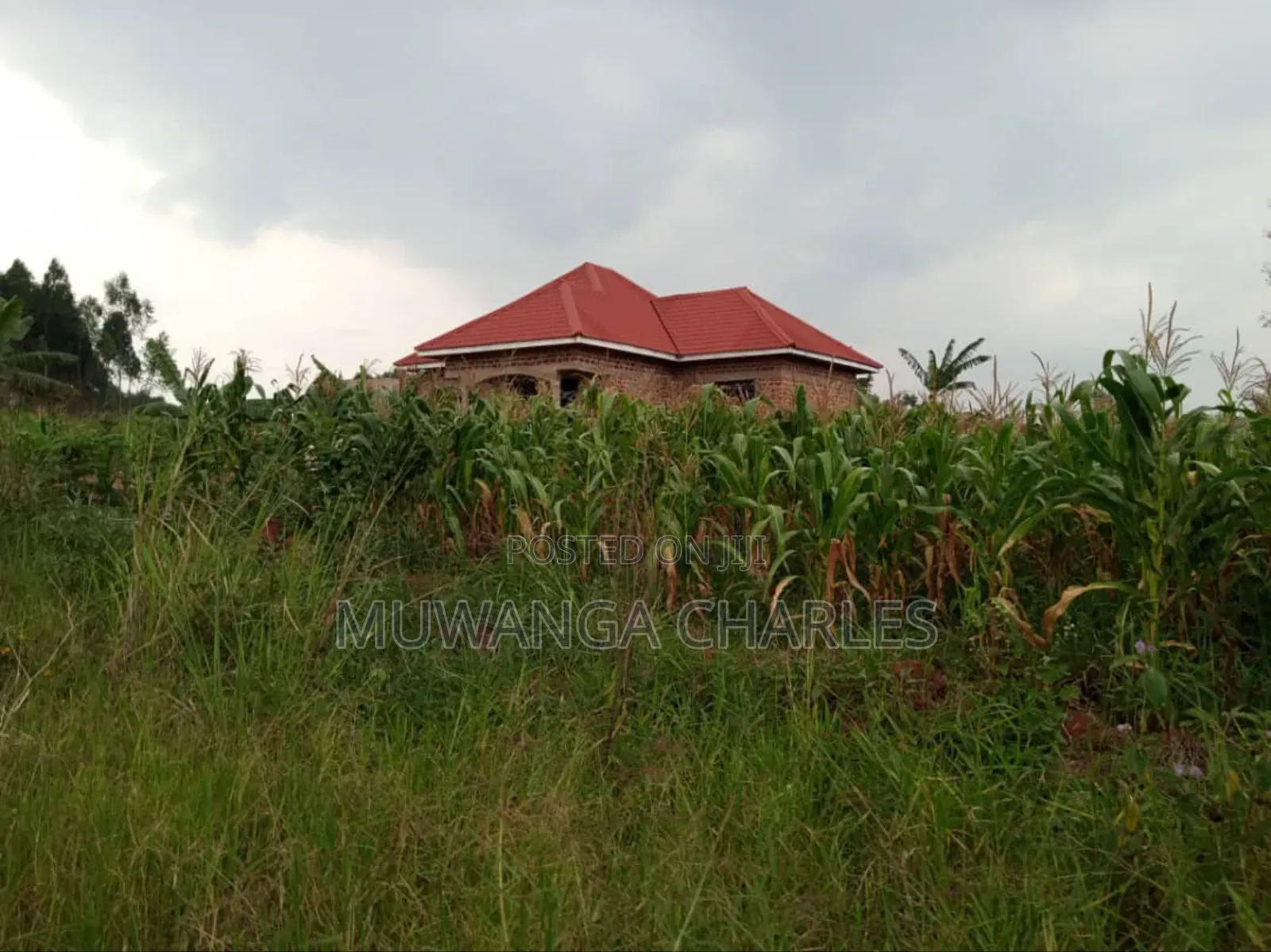 Plot for Sale in Nsasa