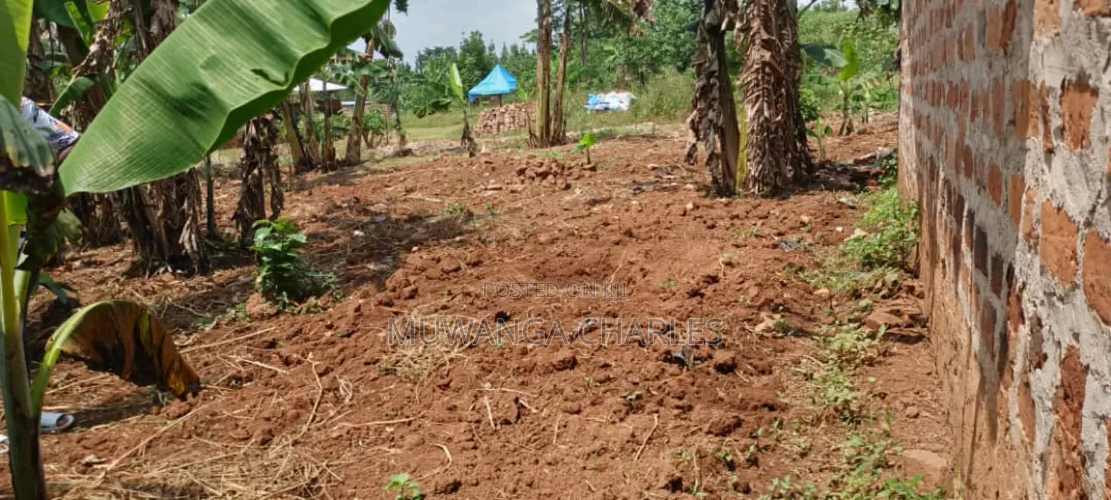 Plot's for Sale in Nakwero