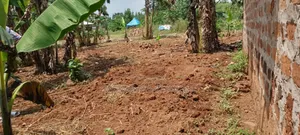Plot's for Sale in Nakwero