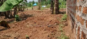 Plot's for Sale in Nakwero