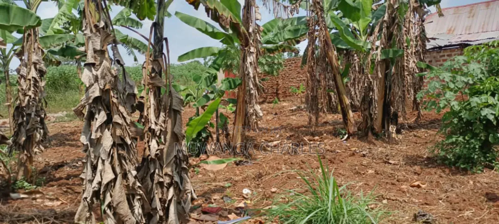 Plot's for Sale in Nakwero