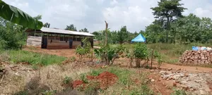 Plot's for Sale in Nakwero