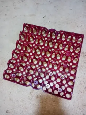 Plastic Egg Trays Carton 100pcs