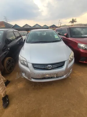 Toyota Corolla Fielder 2010 Silver