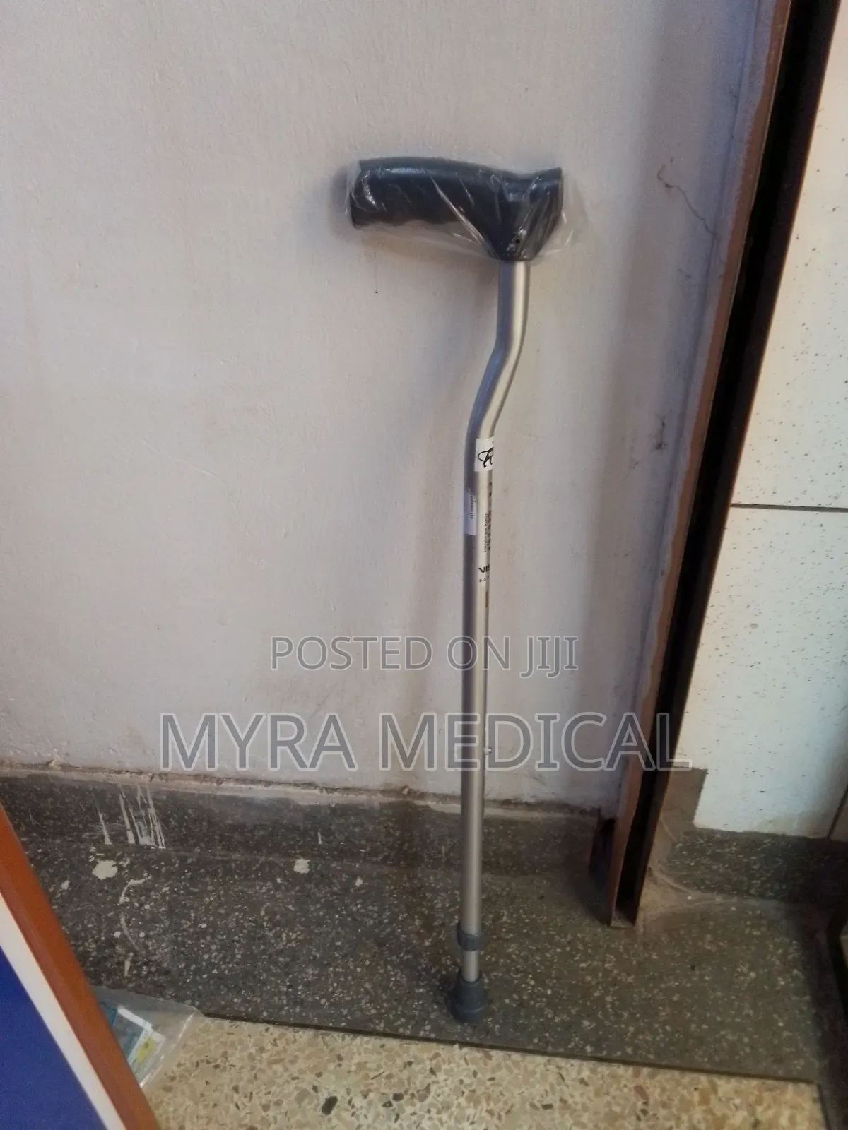 Walking Stick