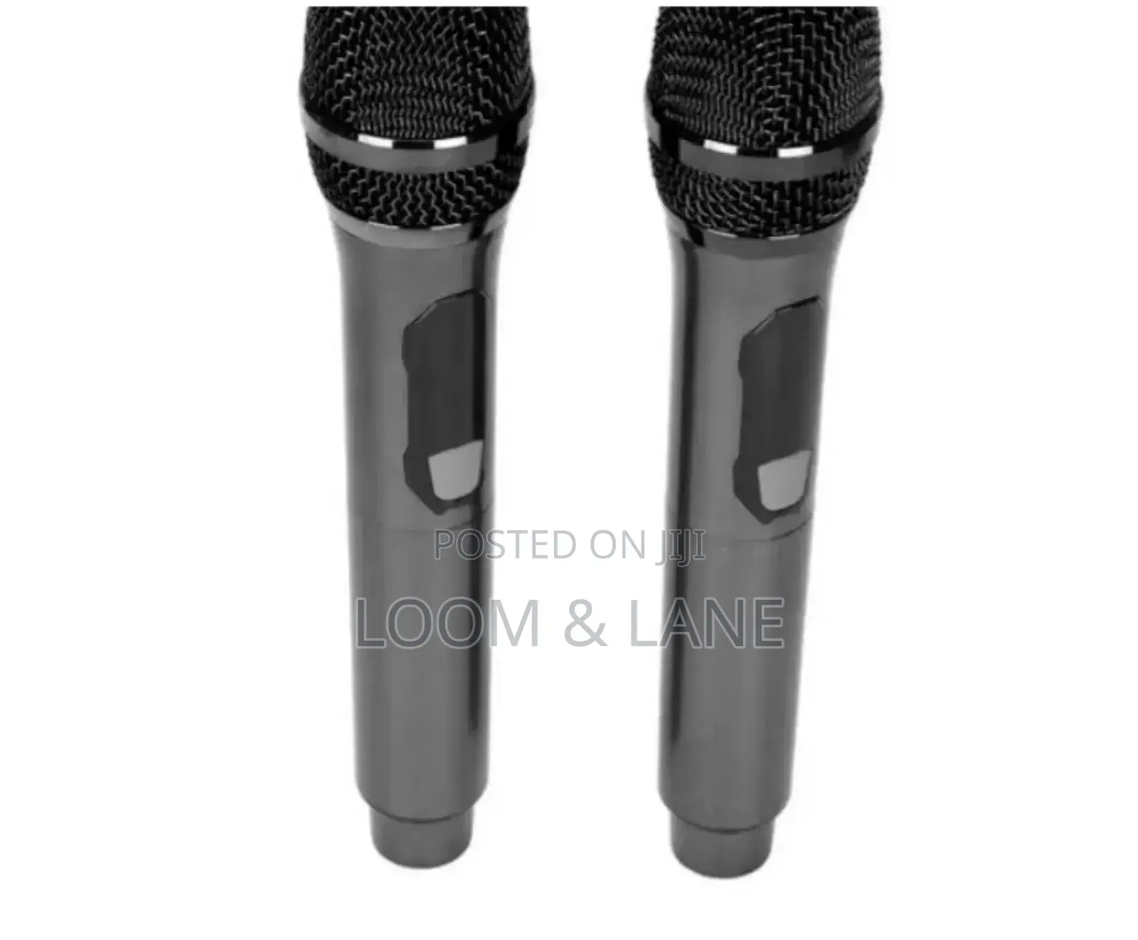 Professional Wireless Portable Microphone