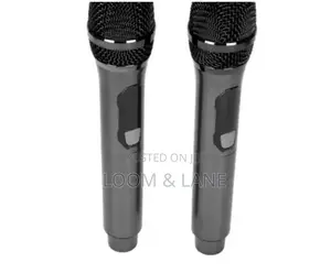 Professional Wireless Portable Microphone