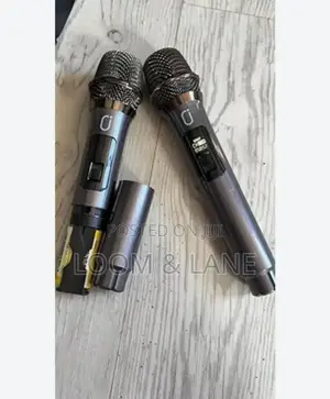 Professional Wireless Portable Microphone