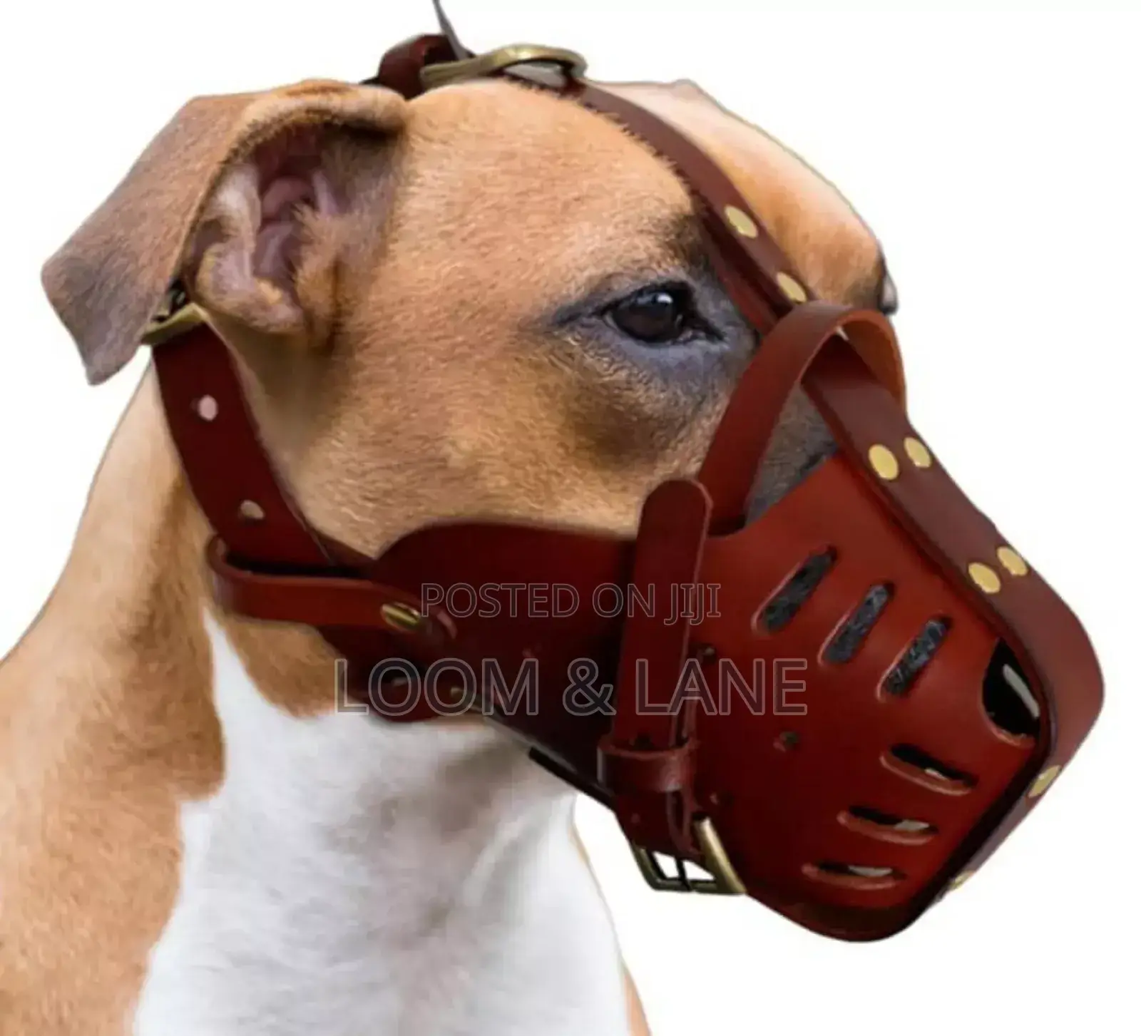 Collar Direct Leather Pet Muzzle