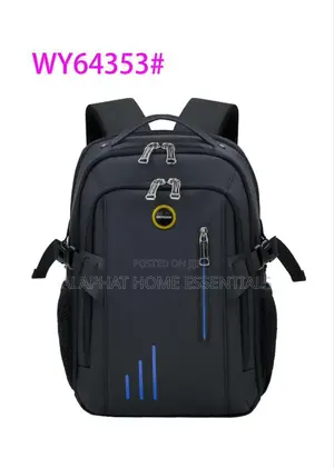 Backpack/Laptop Bag