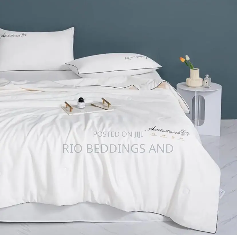 Silk Duvet Cover With 6pcs