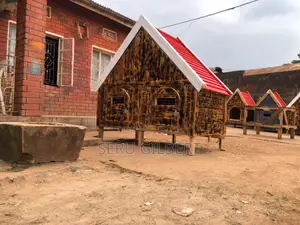 VCG Two in Dog House