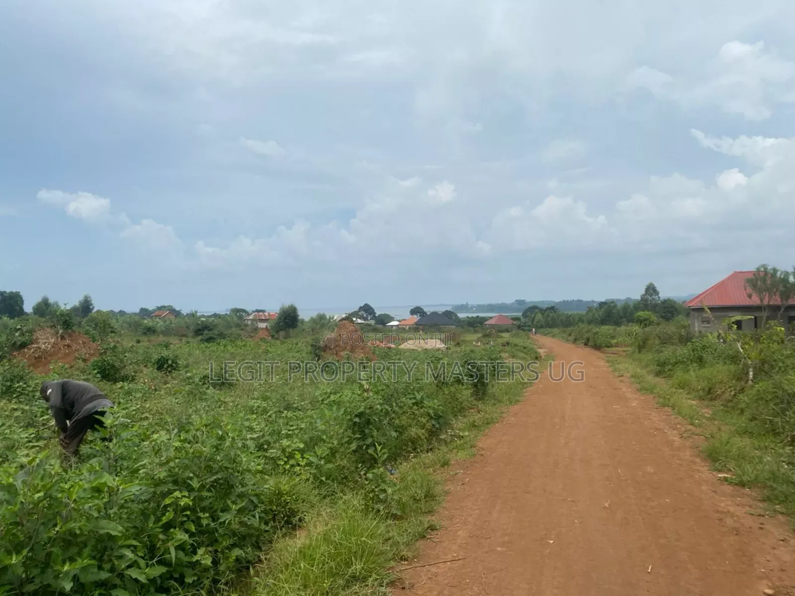 Land in Buwaya at a Favourable Price